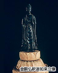 金剛仏釈迦如来立像